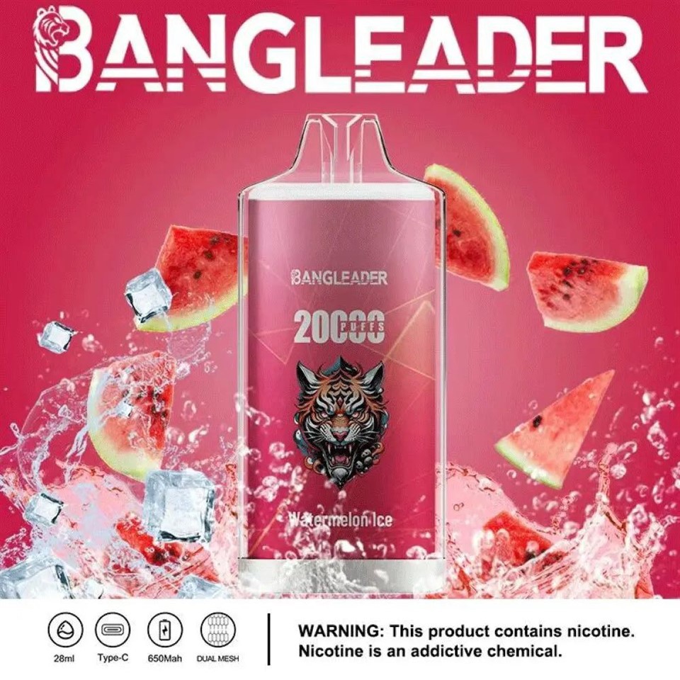 Bang Leader 20000 20K Puffs Newest Product Disposable Vape suppliers