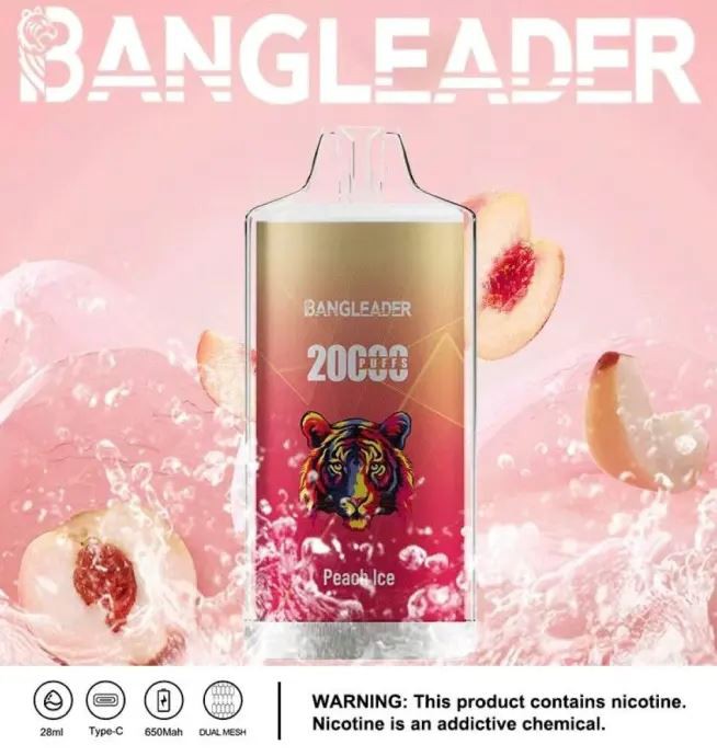 Bang Leader 20000 20K Puffs Newest Product Disposable Vape price