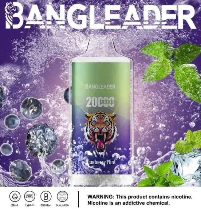 Bang Leader 20000 20K Puffs Newest Product Disposable Vape suppliers