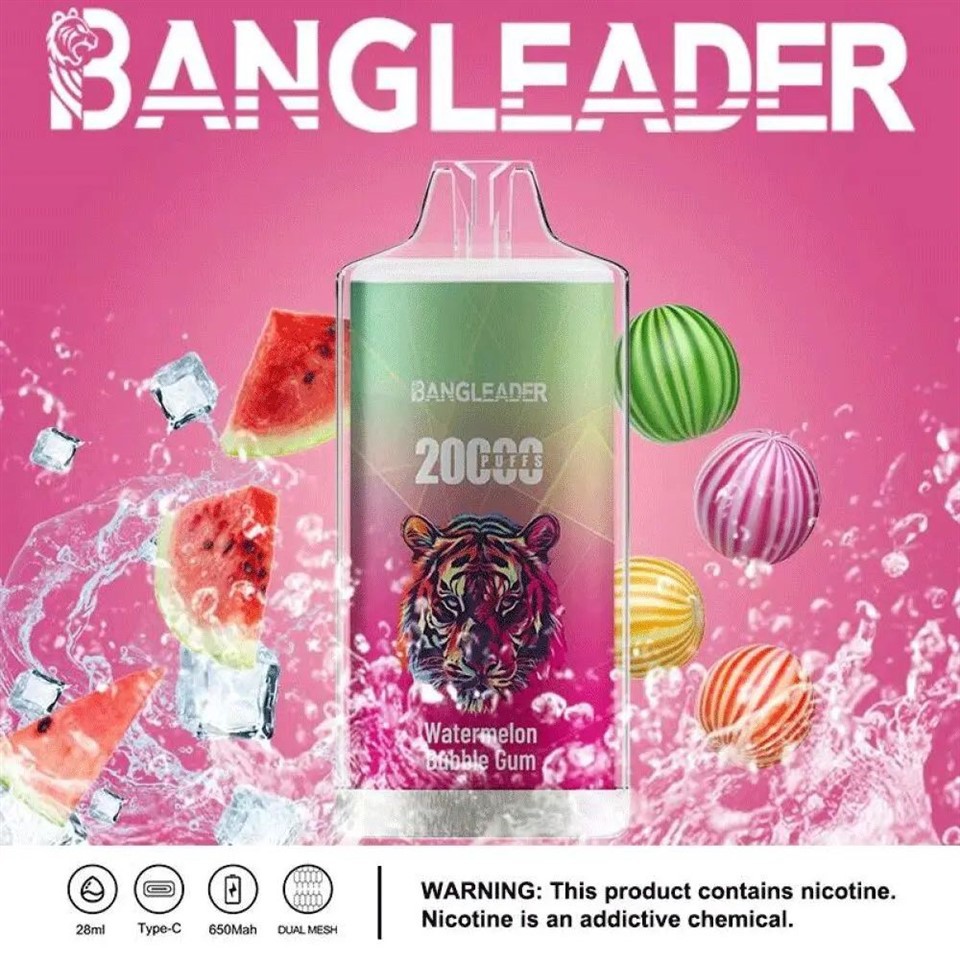 Bang Leader 20000 20K Puffs Newest Product Disposable Vape factory