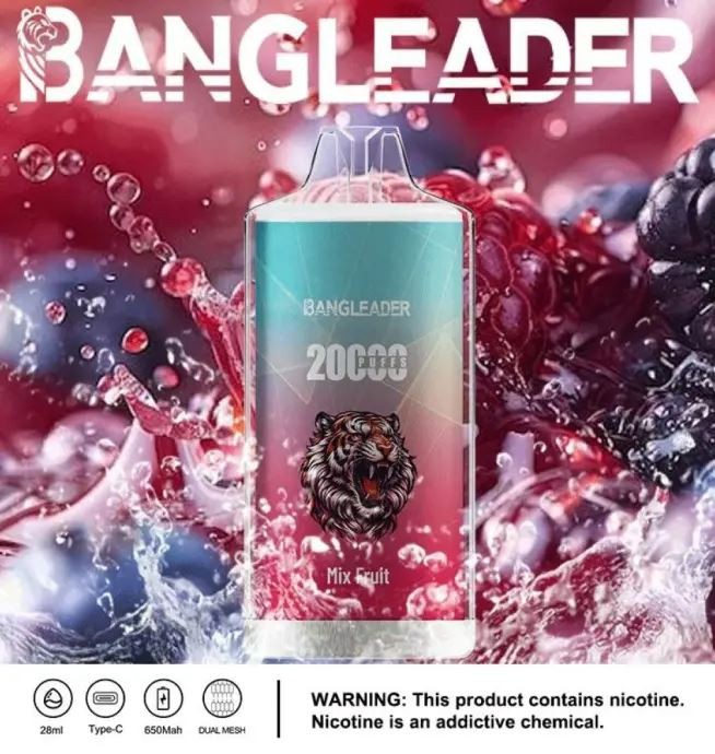 Bang Leader 20000 20K Puffs Newest Product Disposable Vape factory