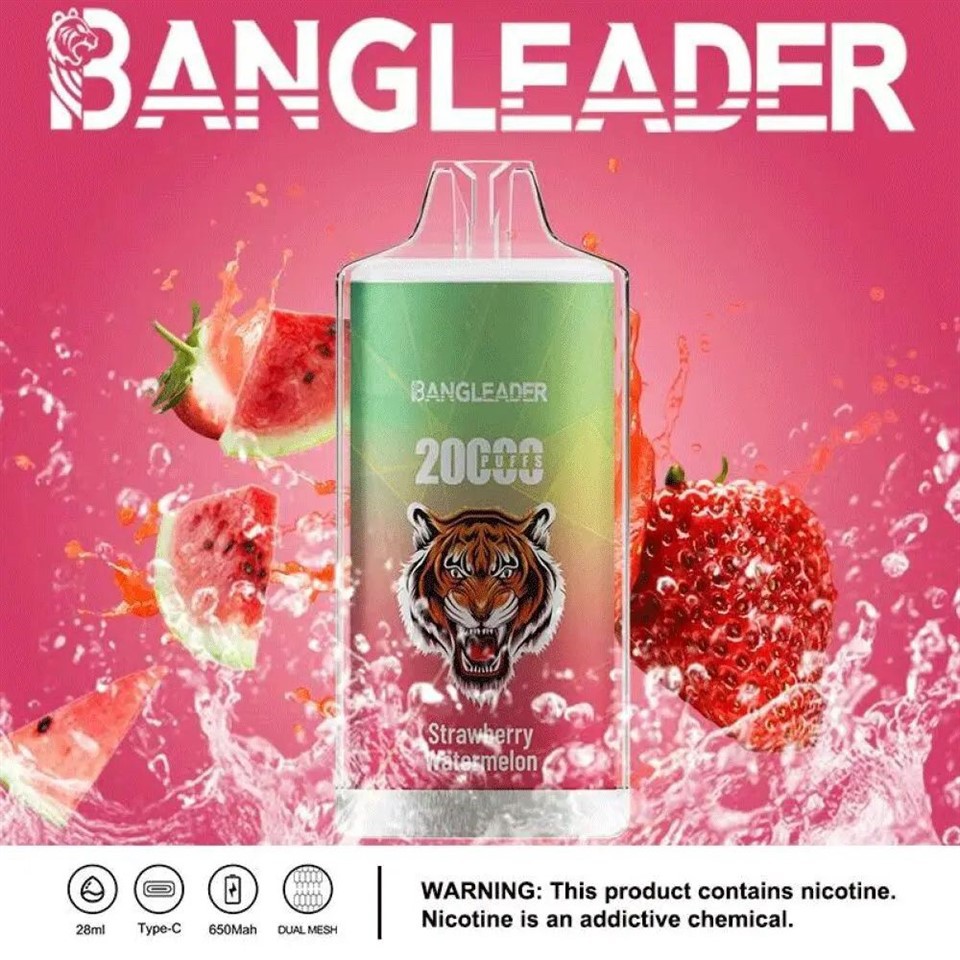 Bang Leader 20000 20K Puffs Newest Product Disposable Vape best
