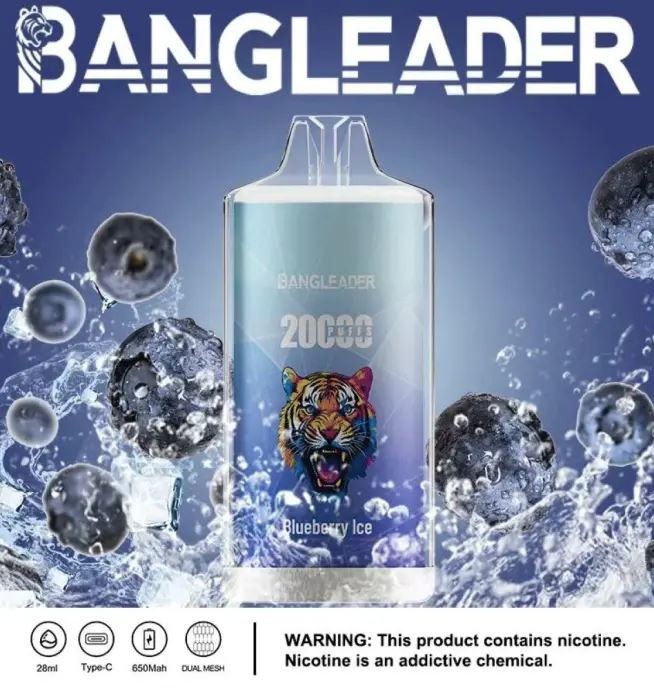 Bang Leader 20000 20K Puffs Newest Product Disposable Vape price