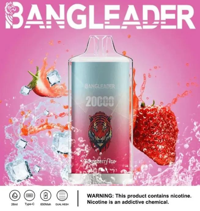 Bang Leader 20000 20K Puffs Newest Product Disposable Vape price