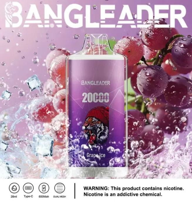 Bang Leader 20000 20K Puffs Newest Product Disposable Vape manufacturers